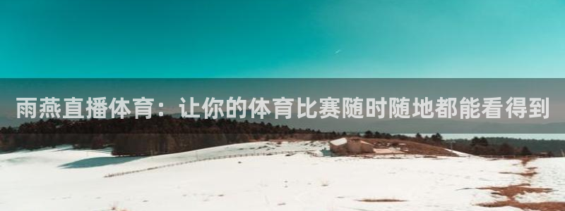 雨燕直播体育：让你的体育比赛随时随地都能看得到