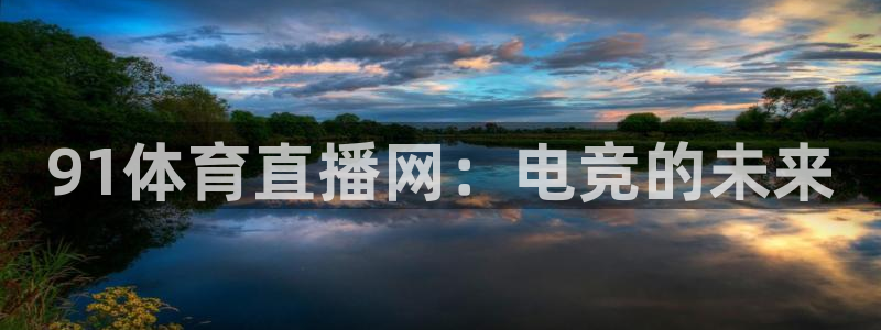 91体育直播网：电竞的未来