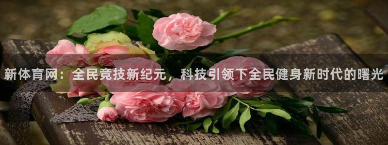 新体育网：全民竞技新纪元，科技引领下全民健身新时代的曙光