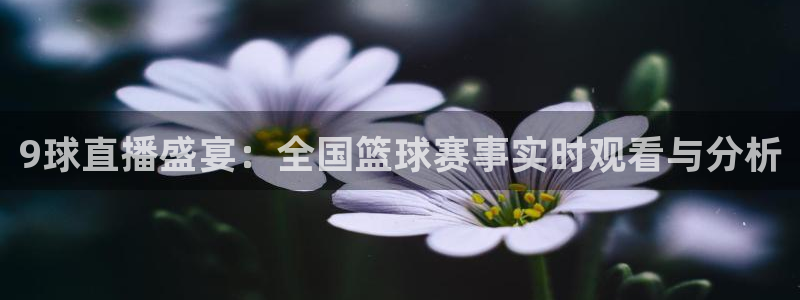 9球直播盛宴：全国篮球赛事实时观看与分析