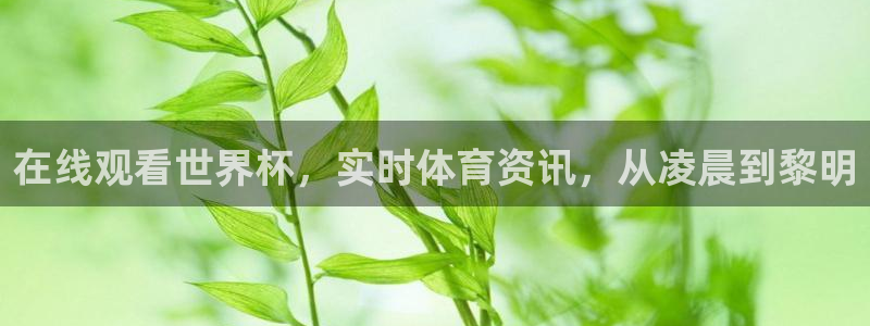 在线观看世界杯，实时体育资讯，从凌晨到黎明