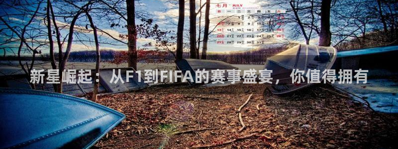 新星崛起：从F1到FIFA的赛事盛宴，你值得拥有